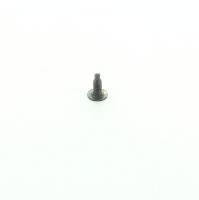 Glass fixing screw